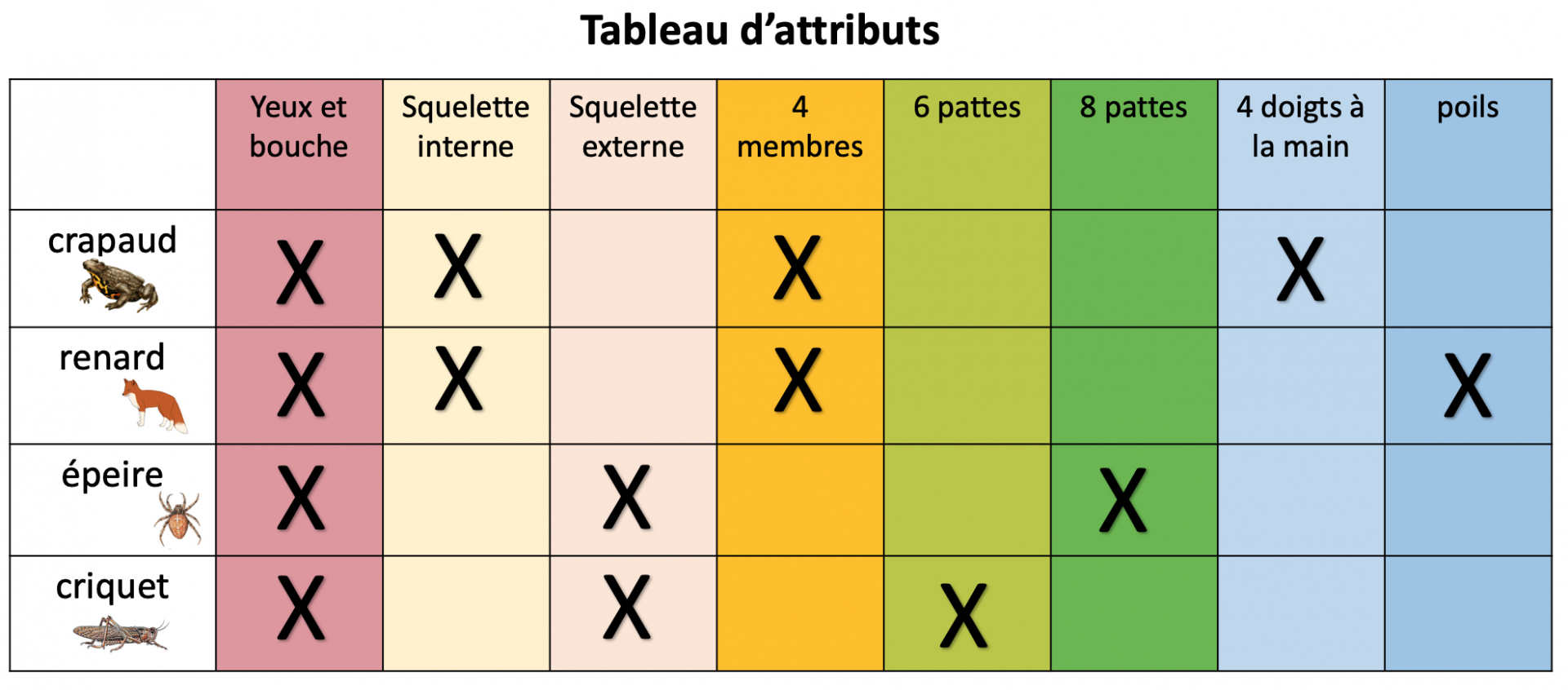 Tableau attributs 4 especes corriges