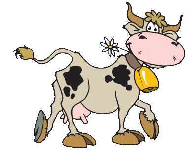 Vache